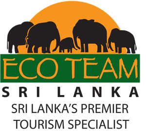 Eco Team Logo
