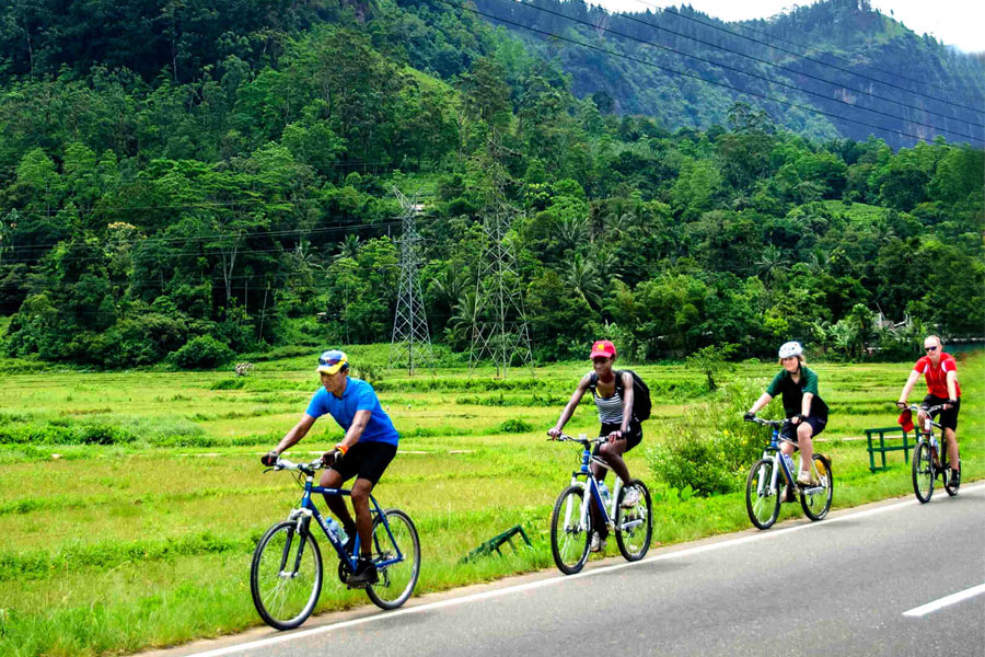 Paddy Trail for Cyclist in Galle