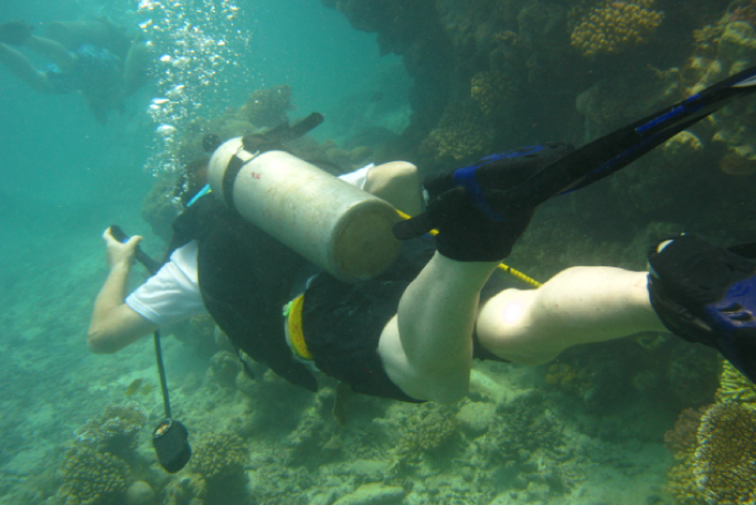 Diving in Negombo