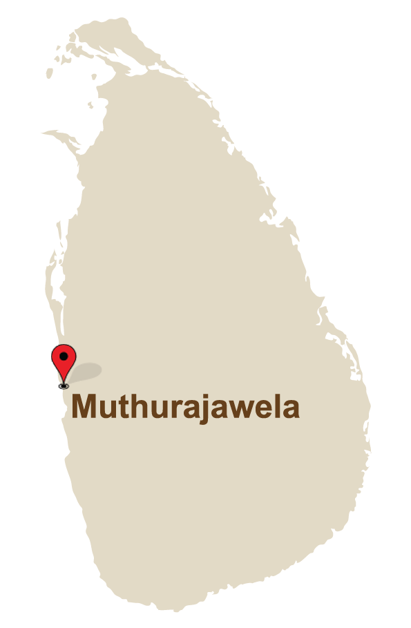 Muthurajawela