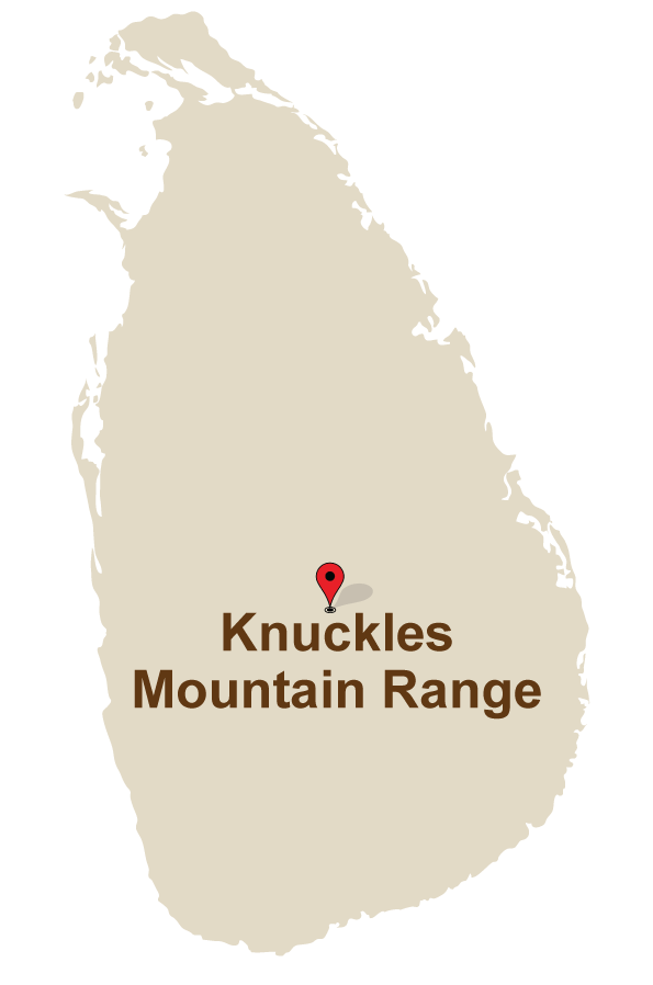 1 Mahoora Camps at Knuckles Mountain range