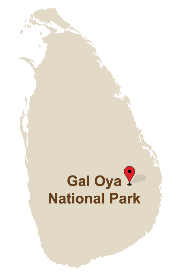 Gal Oya National Park