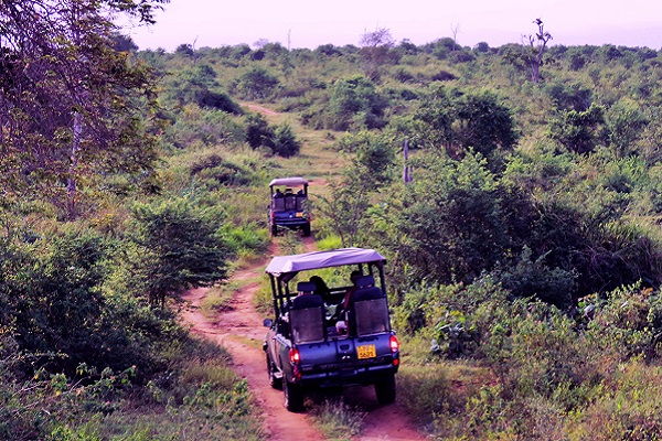 Wildlife safari tours Sri Lanka