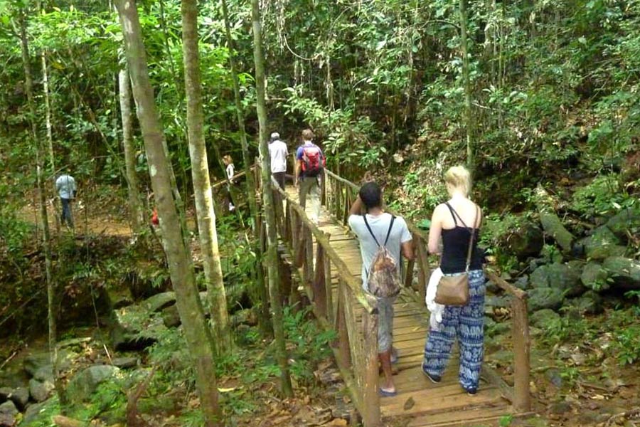 Kanneliya Rainforest Day Tour