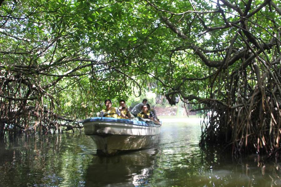 Mandu River Boat Safari