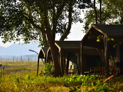 Explore by Mahoora Camps - Gal Oya 