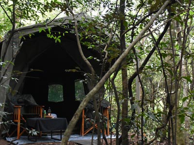 Explore by Mahoora Camps - Sinharaja Rain Forest
