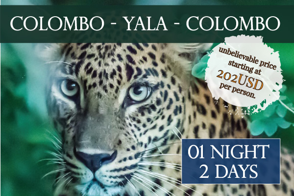 Colombo - Yala - Colombo