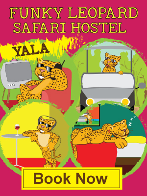 funky leopard safari hostels yala