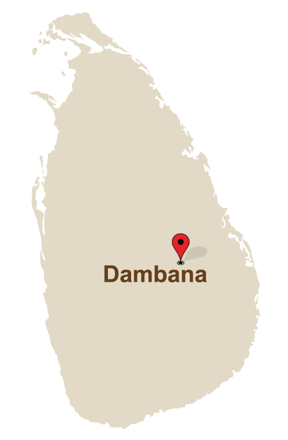 Dambana
