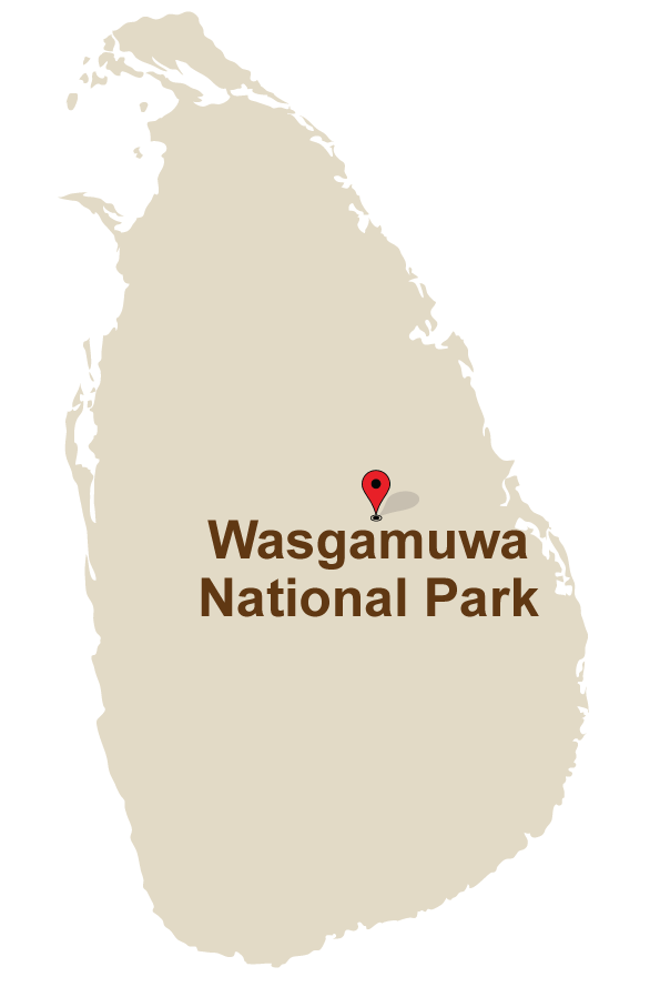 1 Mahoora Camps at Wasgamuwa