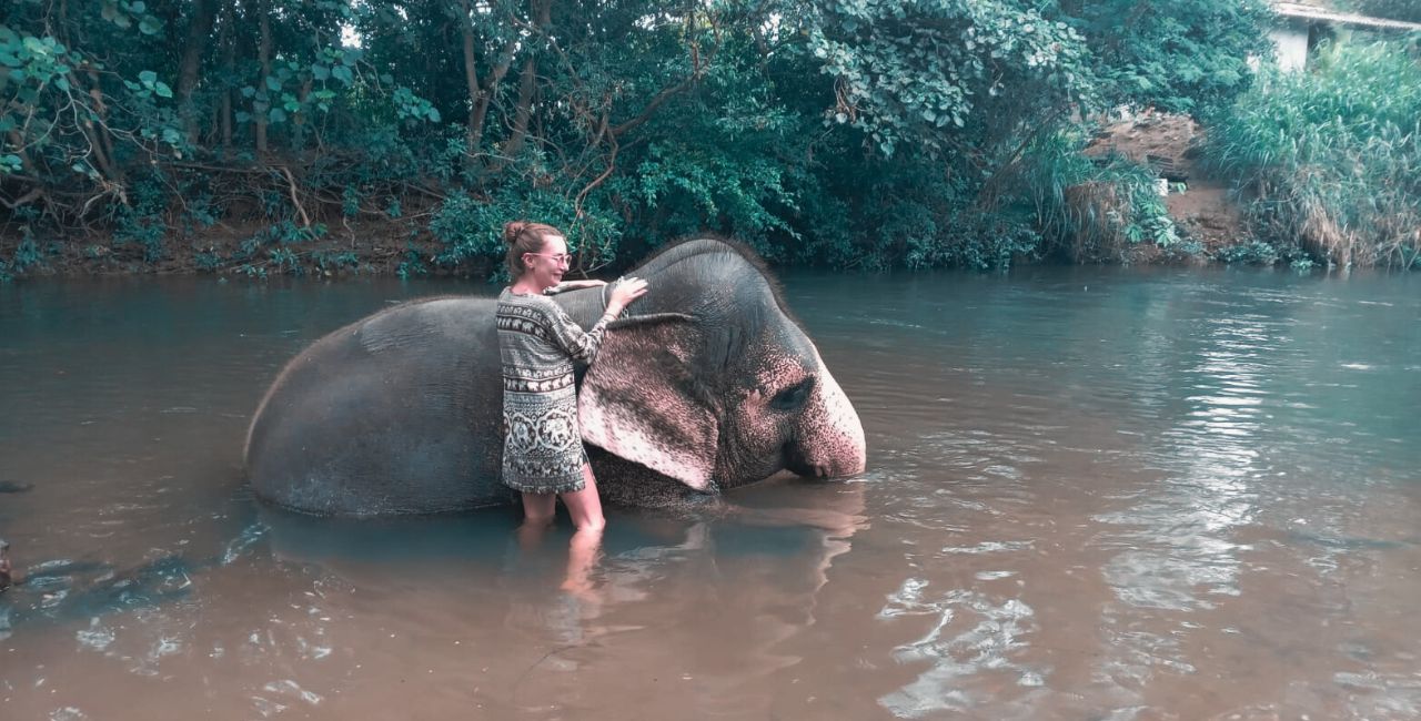 spend your day with an elephant in sri lanka