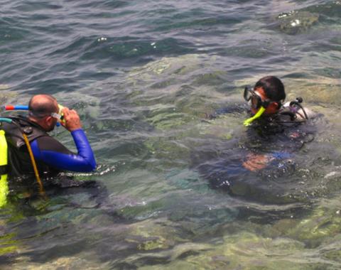 Snorkeling at Pasikudah