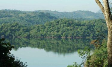 peaceful outdoor scene with a beautiful lake surrounded by trees sri lanka day tours