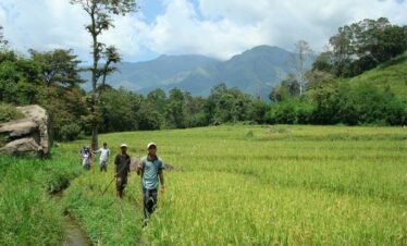 people walking in grassy fields with beautiful landscape belihuloya sri lanka day tours