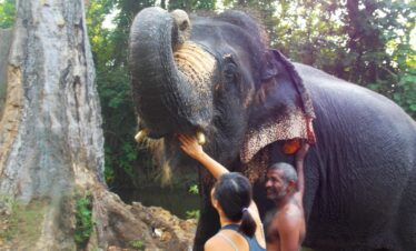 tourist experience elephant habarana sri lanka day tours