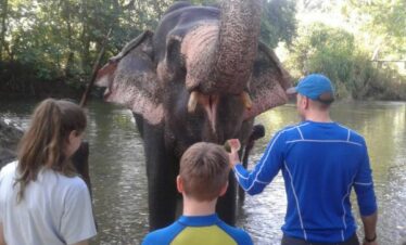 tourist experience feeding an elephant in sri lanka