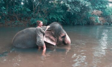 tourist experience with an elephant sri lanka day tours