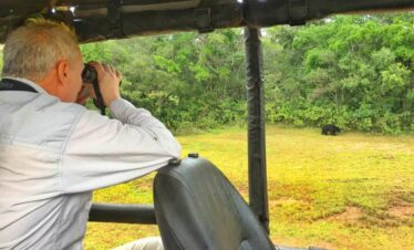 A Wilpattu safari guest is taking a picture if a Sloth Bear