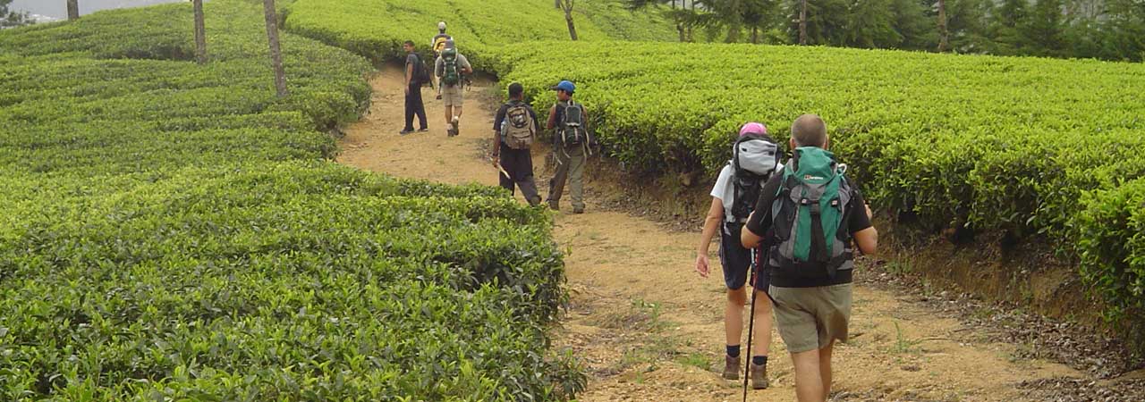 There's so much you can do in ONE DAY