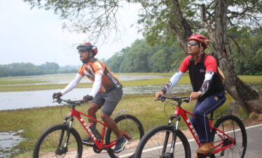 Experiencing cycling tour through wetlands
