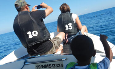 boat trip kalpitiya dolphin watching