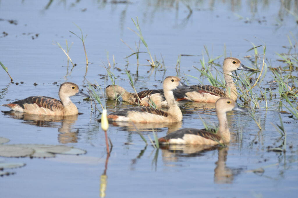 Bird sighting during the cycling adventure