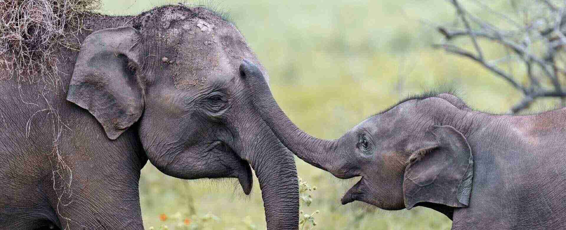 There's so much you can do in ONE DAY